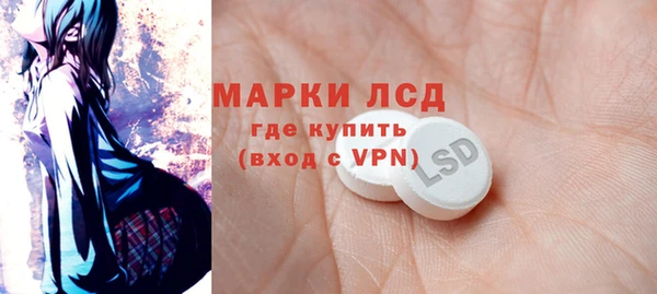 сатива Нефтекумск