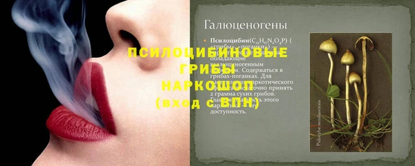 крисы Алексин