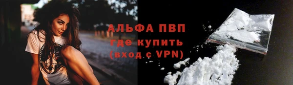 крисы Алексин
